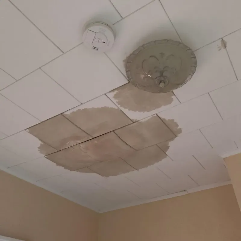 Ceiling Water Damage Repair in Hooks, TX