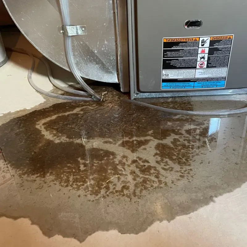 Pipe Burst and Leak Restoration in Hooks, TX