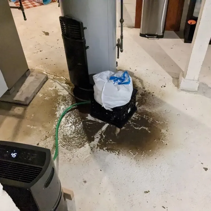 Sewage Backup Cleanup Service in Hooks, TX